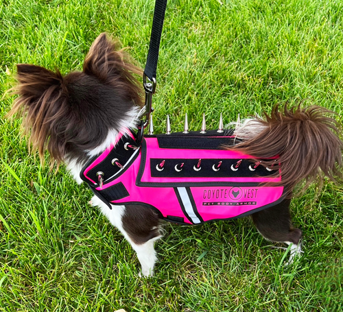 HawkVest