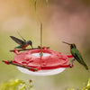 Hummguard® Hummingbird Feeder Bundle, 8 oz Feeder + 12 Nectar Tips