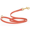 Biothane Working Dog Lead 4ft