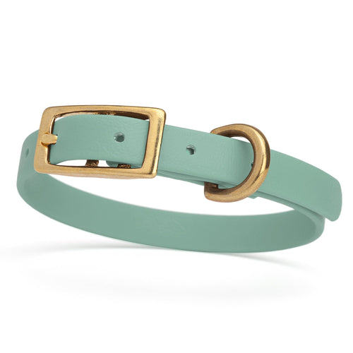 BioThane Waterproof Dog Collar - XS: L 9-12 x W 1/2 - Black OR Brass Hardware