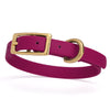 BioThane Waterproof Dog Collar - XS: L 9-12 x W 1/2 - Black OR Brass Hardware
