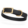 BioThane Waterproof Dog Collar - XS: L 12-15 x W 5/8 - Black OR Brass Hardware