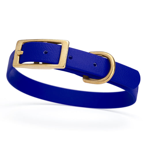 BioThane Waterproof Dog Collar - XS: L 12-15 x W 5/8 - Black OR Brass Hardware