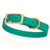 BioThane Waterproof Dog Collar - XS: L 12-15 x W 5/8 - Black OR Brass Hardware