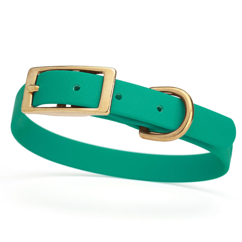 BioThane Waterproof Dog Collar - XS: L 12-15 x W 5/8 - Black OR Brass Hardware