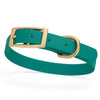 BioThane Waterproof Dog Collar - XS: L 12-15 x W 5/8 - Black OR Brass Hardware