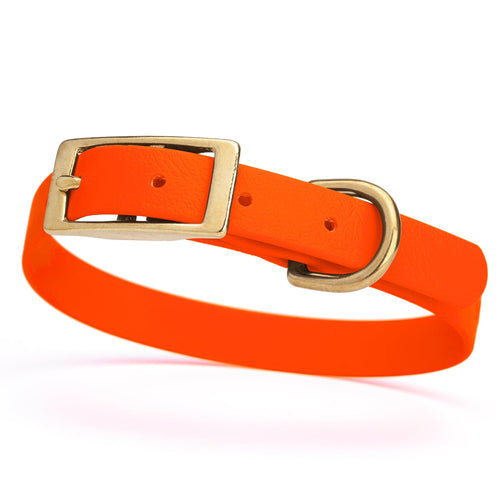 BioThane Waterproof Dog Collar - XS: L 12-15 x W 5/8 - Black OR Brass Hardware