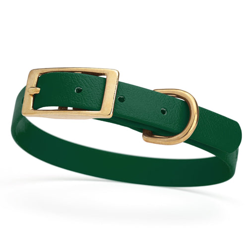 BioThane Waterproof Dog Collar - XS: L 12-15 x W 5/8 - Black OR Brass Hardware