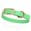 BioThane Waterproof Dog Collar - XS: L 12-15 x W 5/8 - Black OR Brass Hardware