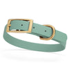BioThane Waterproof Dog Collar - XS: L 12-15 x W 5/8 - Black OR Brass Hardware