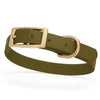 BioThane Waterproof Dog Collar - XS: L 12-15 x W 5/8 - Black OR Brass Hardware