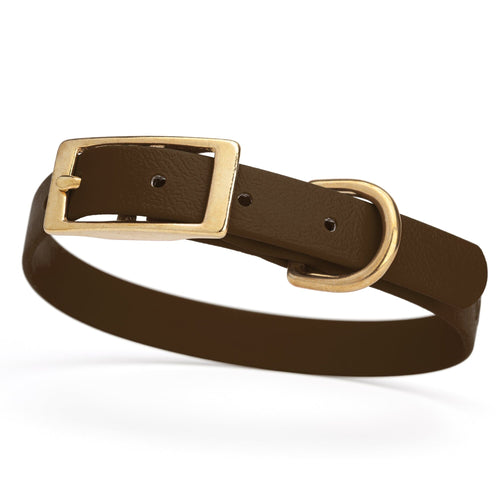 BioThane Waterproof Dog Collar - XS: L 12-15 x W 5/8 - Black OR Brass Hardware