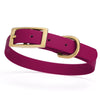 BioThane Waterproof Dog Collar - XS: L 12-15 x W 5/8 - Black OR Brass Hardware