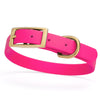 BioThane Waterproof Dog Collar - XS: L 12-15 x W 5/8 - Black OR Brass Hardware