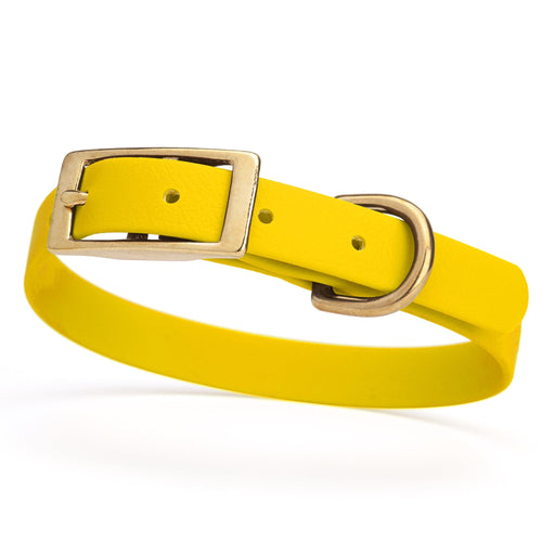 BioThane Waterproof Dog Collar - XS: L 12-15 x W 5/8 - Black OR Brass Hardware