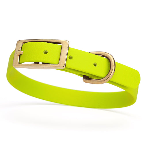 BioThane Waterproof Dog Collar - XS: L 12-15 x W 5/8 - Black OR Brass Hardware