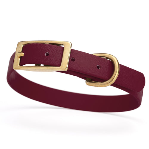 BioThane Waterproof Dog Collar - XS: L 12-15 x W 5/8 - Black OR Brass Hardware