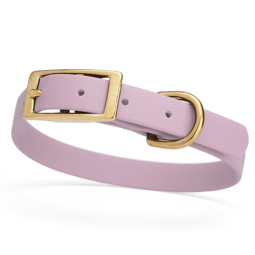 BioThane Waterproof Dog Collar - XS: L 12-15 x W 5/8 - Black OR Brass Hardware