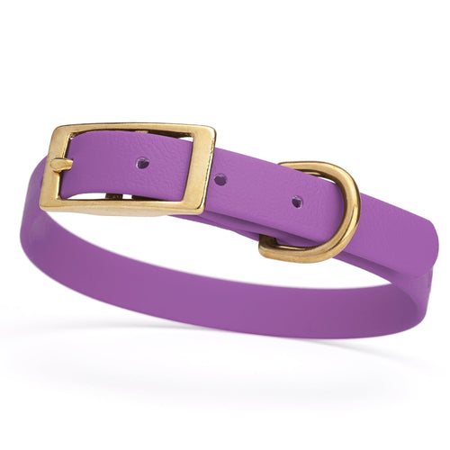 BioThane Waterproof Dog Collar - XS: L 12-15 x W 5/8 - Black OR Brass Hardware