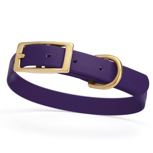 BioThane Waterproof Dog Collar - XS: L 12-15 x W 5/8 - Black OR Brass Hardware