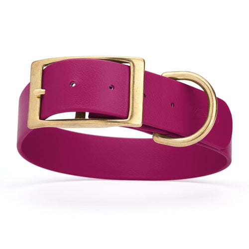 Viper Biothane Waterproof Dog Collar - Brass Hardware - 1.5in Wide, Size L (16 to 20 inches)