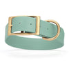 Viper Biothane Waterproof Dog Collar - Brass Hardware - 1.5in Wide, Size XXL (24 to 28 inches)