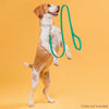 Viper Pebble Emboss BioThane Dog Leash with Solid Brass Hardware