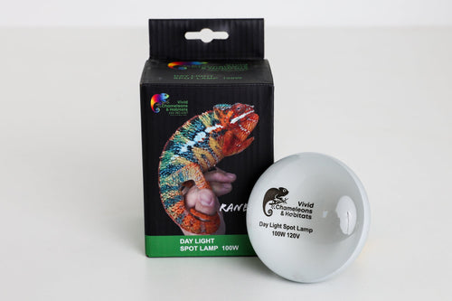 Size 24: 24x24x48 Essential Chameleon Kit