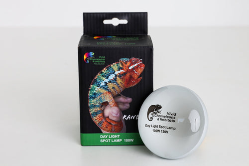 Size 16: 16x16x24 Essential Chameleon Kit