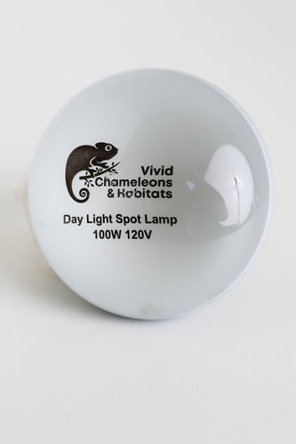 Daylight Heating Bulb - 100W