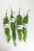Size 16: 16x16x24 Deluxe All-In-One Automated Chameleon Kit