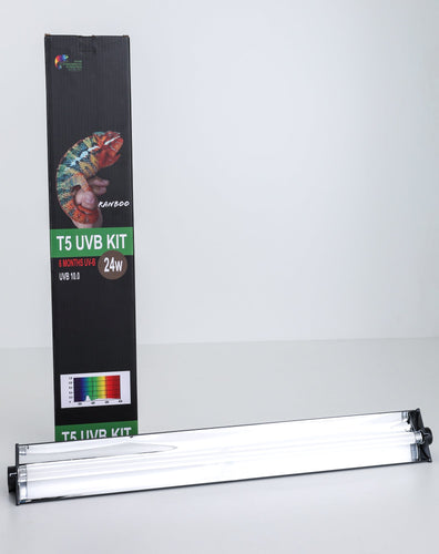 Size 16: 16x16x24 Essential Chameleon Kit