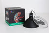 Size 18: 18x18x36 Essential Chameleon Kit