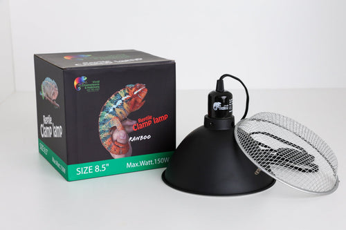 Size 12: 12x12x18 All-In-One Essential Baby Chameleon Kit
