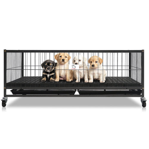 43 Metal Dog Whelping Box WHLP01