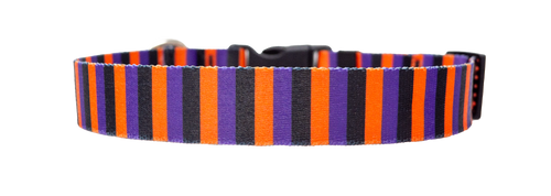Witchy Stripes Dog Collar