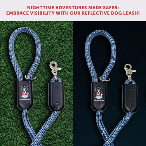 Rope Leash - Blue Reflective