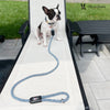 Rope Leash - Blue Reflective