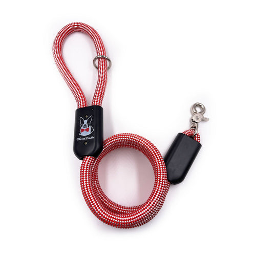 Rope Leash - Rainbow Reflective