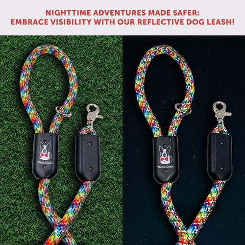 Rope Leash - Rainbow Reflective