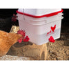 RentACoop 2 Gallon Chicken BPA-Free Plastic Bucket Waterer Set with 4 Horizontal Nipples - Center Placement - 2025 Version