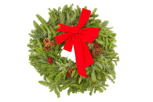 22 Decorated Evergreen Wreath | Fresh Fraser, Noble & Cedar Holiday Wreath | House Plant Shop