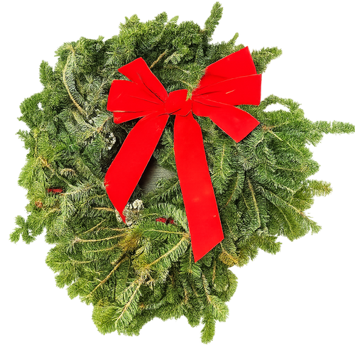 22 Fresh Fraser Fir Wreath | Fragrant Holiday Decoration | House Plant Shop