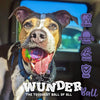 WUNDERBALL - Best Fetch Toy
