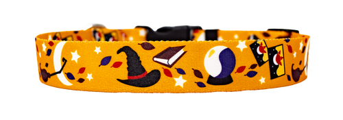 Witchy Ways Dog Collar
