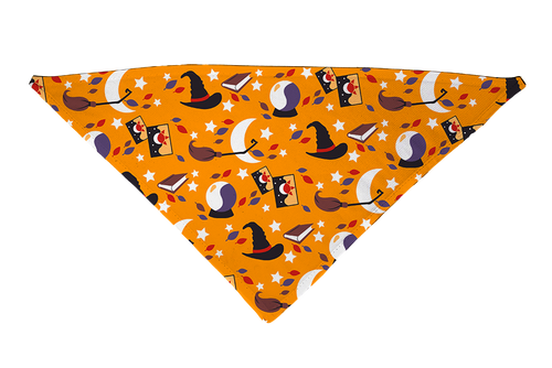 Witchy Ways Dog Bandana