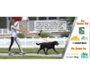 WUNDERleash by WACKYwalk’r – The Original No-Pull Dog Leash