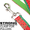 EcoBark Watermelon Dog Leash- Padded Comfort Grip Leash - 4ft, 5ft, and 6ft Leash for Small and Medium Dogs
