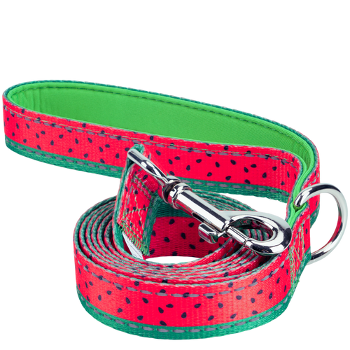 EcoBark Watermelon Dog Leash- Padded Comfort Grip Leash - 4ft, 5ft, and 6ft Leash for Small and Medium Dogs