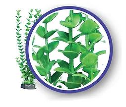 Weco Freshwater Series Lime Bacopa Aquarium Plant